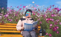 1984版保罗2中文版